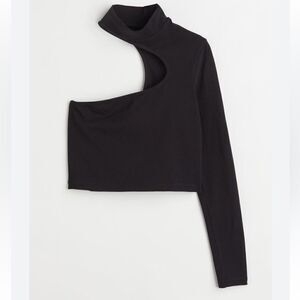 Zara Cutout One Sleeve Turtleneck Top